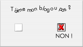 questions pour les visiteurs de mon blog